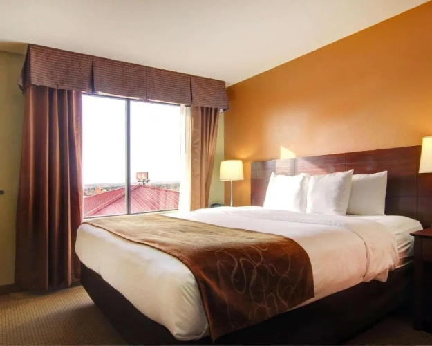 Standard Double Suite