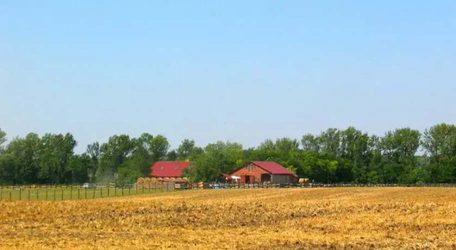 Navaho Ranch