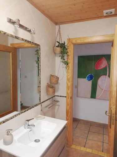 La buganvilla de Juana y Antonio