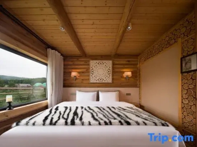 Standard Double room with mountain view