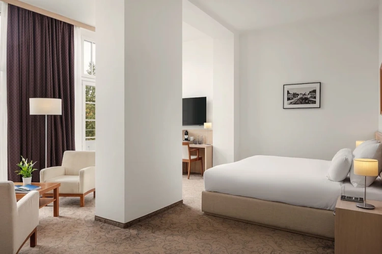 Double Junior Suite with park view