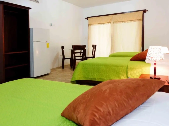 Standard Twin room with view