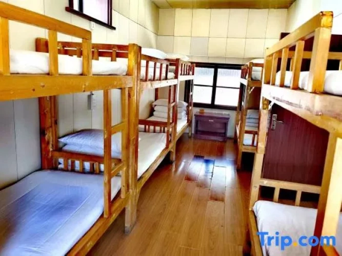 Bed in Dorm