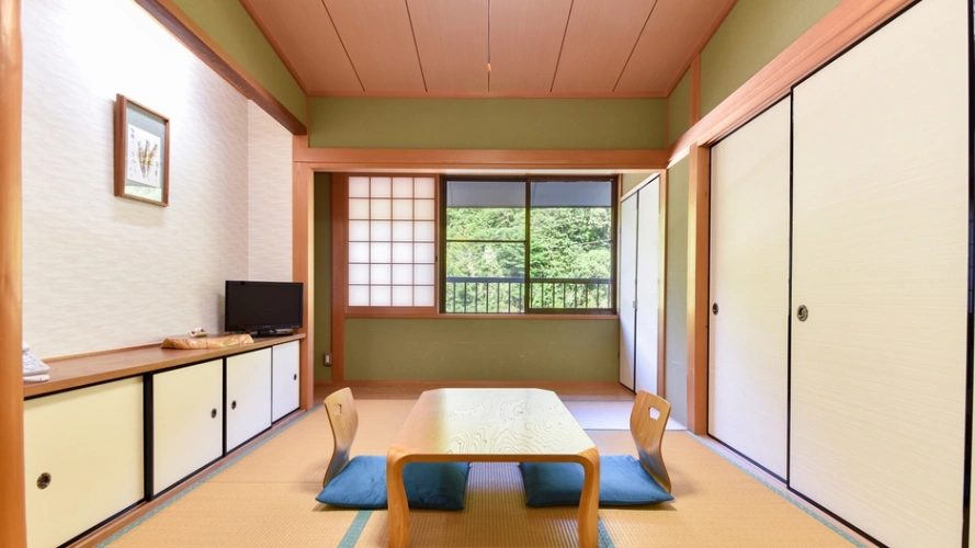 Standard room with mountain view