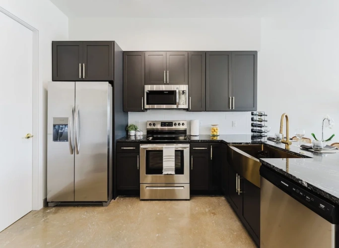 Luxury Apartment