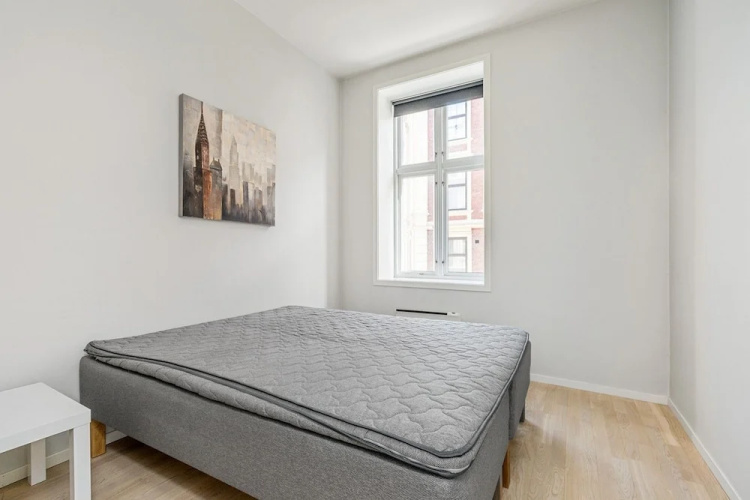 Central 1 Bedroom Apartment