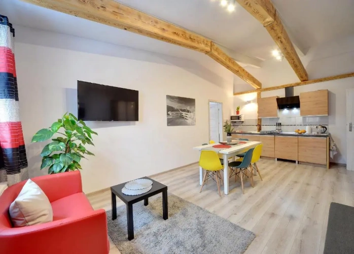 1 Bedroom Apartment