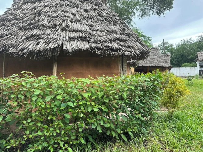 Bungalow