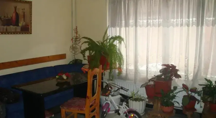 Hotel Detelina