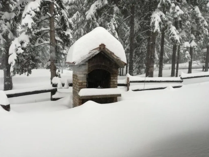 Cottage