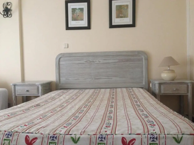 Standard Double room with river view