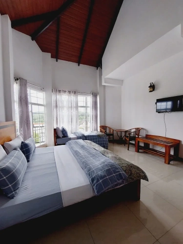 Deluxe Triple room