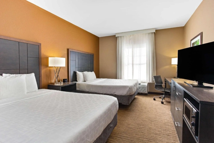 Standard Quadruple room