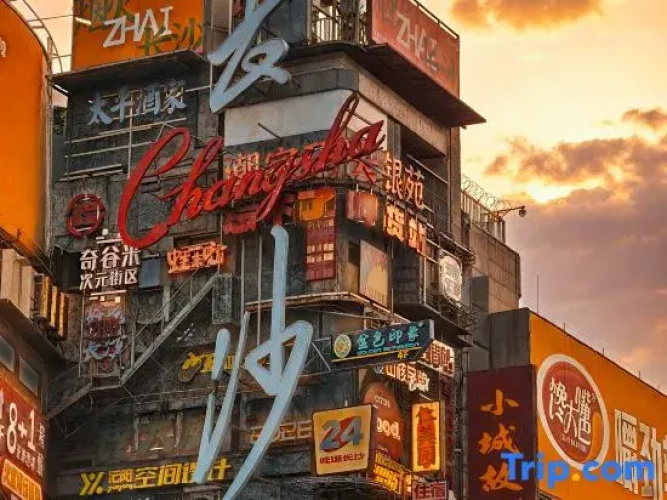 Runwu Homestay (Wuyi Square & IFS Center)