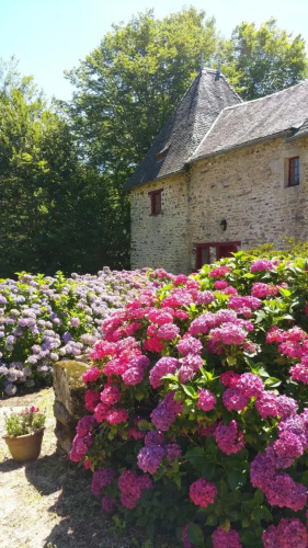 Chateau de Bellefond