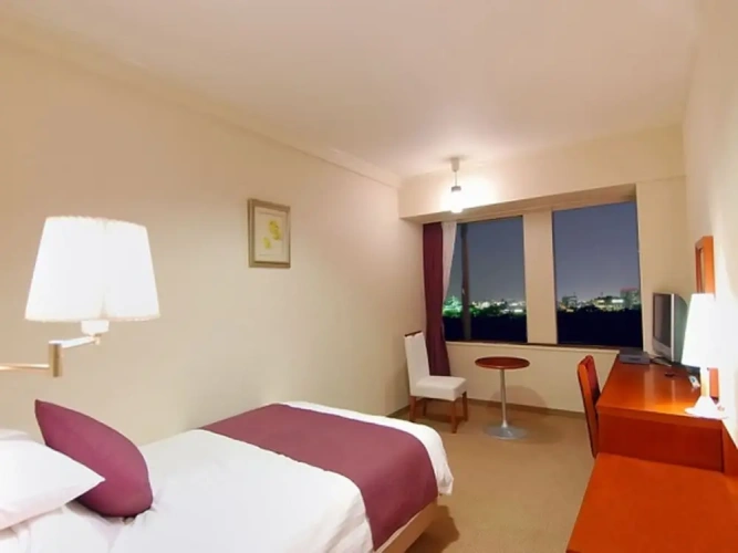 Deluxe Single room