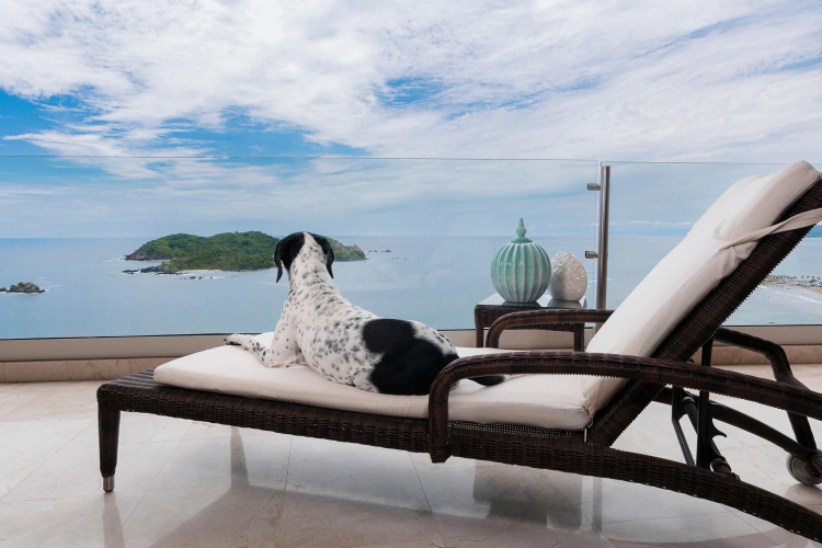 Azul Ixtapa Grand All Suites Spa & Convention Center photo 9