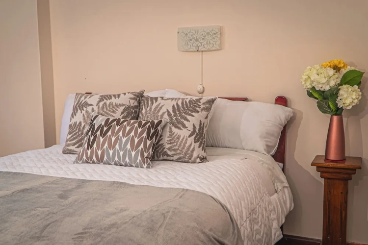 Deluxe Single room with city view