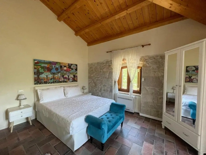 Standard Double room with mountain view