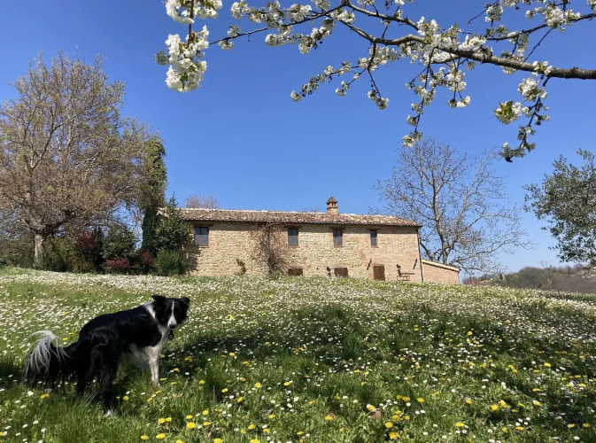 Il Nascondiglio - The Hideaway
