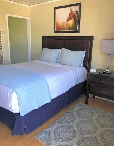 Traditional Queen Double room