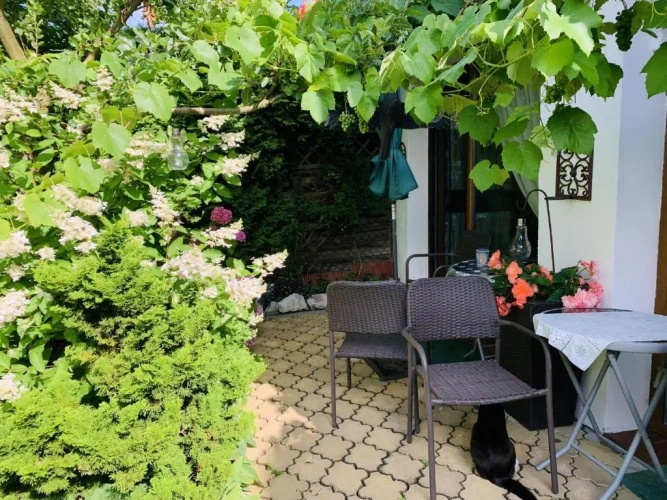 Standard Family room with garden view