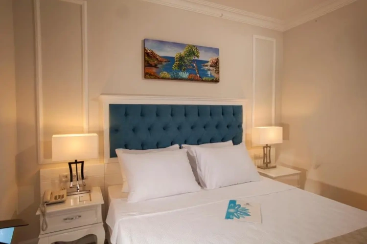 Standard Single room with land view