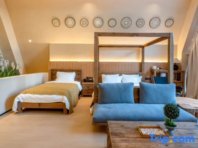 Family Duplex Suite