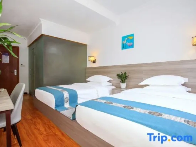Standard Twin Family room