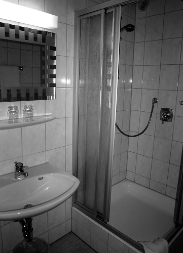 Hotel Grner Kranz