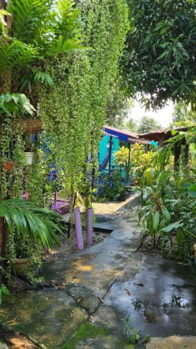 Gecko Guesthouse Langkawi