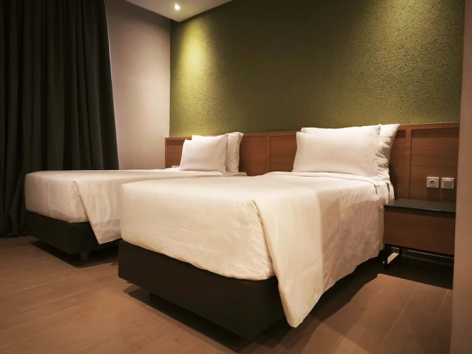 Deluxe Twin room with city view