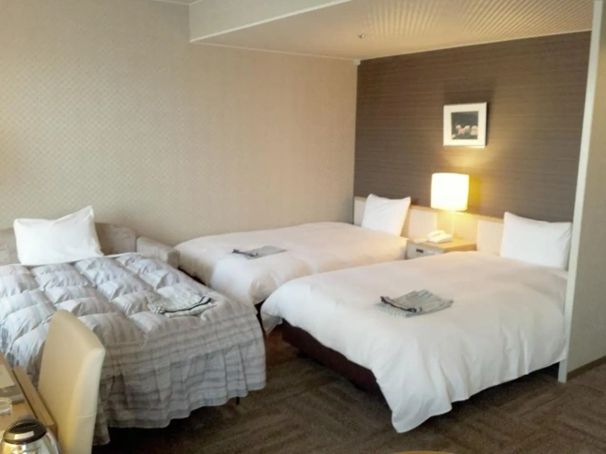 Standard Twin room
