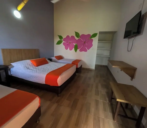 Standard Double room with view