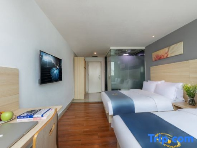Standard Twin room with city view