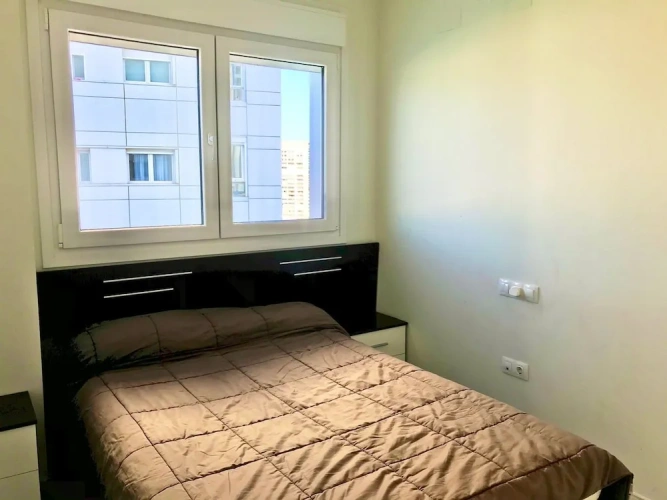 Luxury Apartment