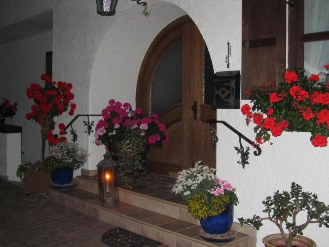 1 Bedroom Apartment with balcony