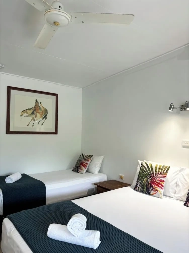Standard Twin room