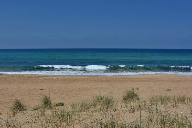 Blue Sea