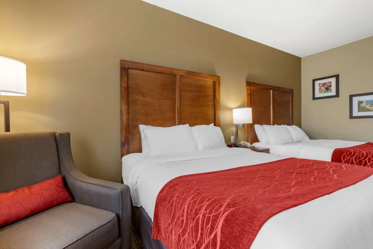 Guest rooms