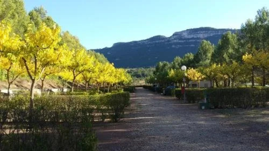 Montsant Park Camping & Bungalow