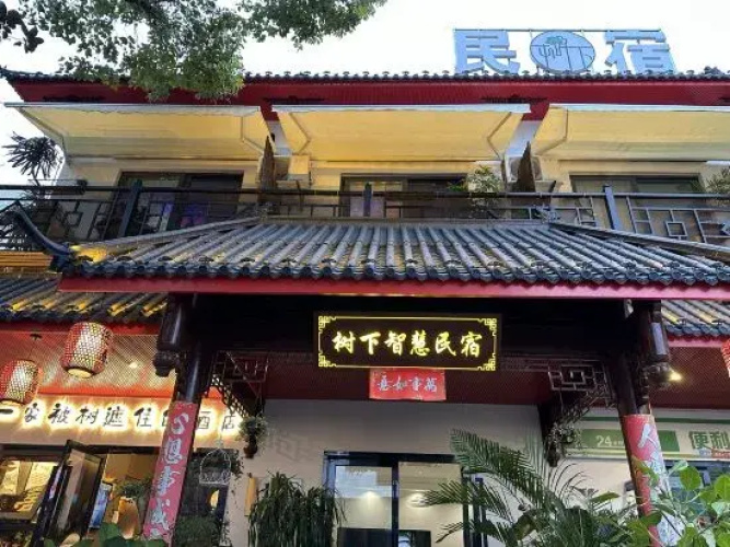 Shanghai Wisdom Hostel Under the Tree