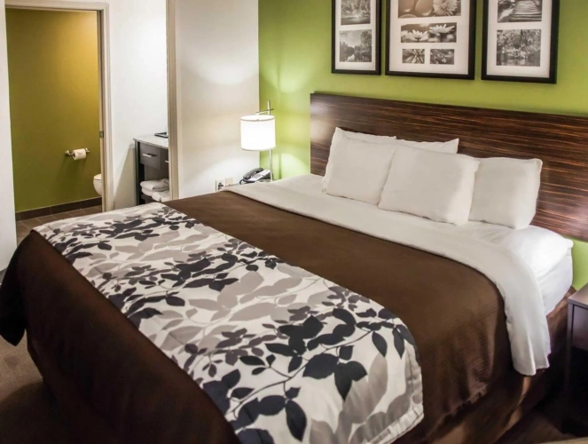 Standard room