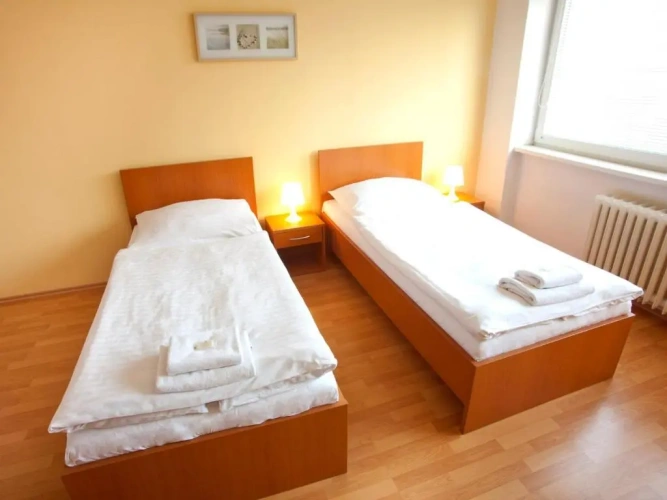 Standard Twin room with view