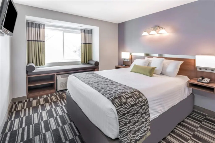 Microtel Inn by Wyndham Victor/Rochester