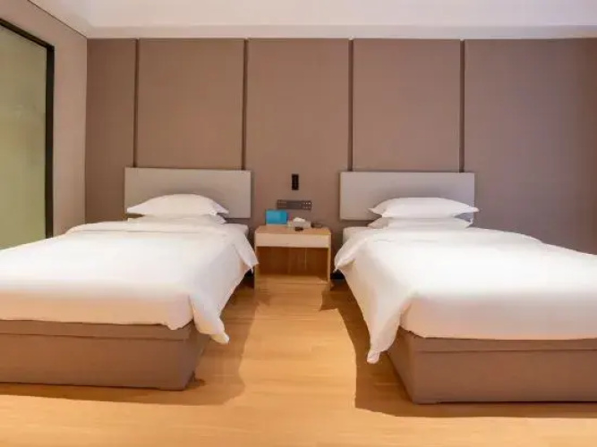 Head Holiday Hotel