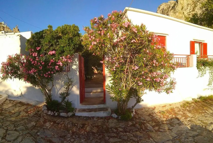 Almond trees house