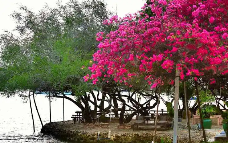 The C Samet Beach Resort