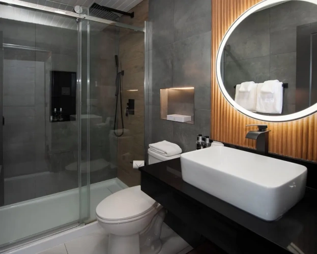 Standard Double room with balcony and with ocean view