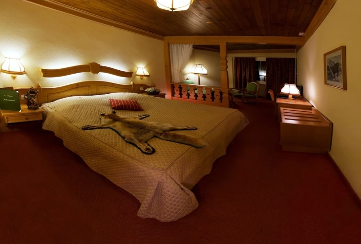 1 Bedroom Standard Double room with balcony and with lake view